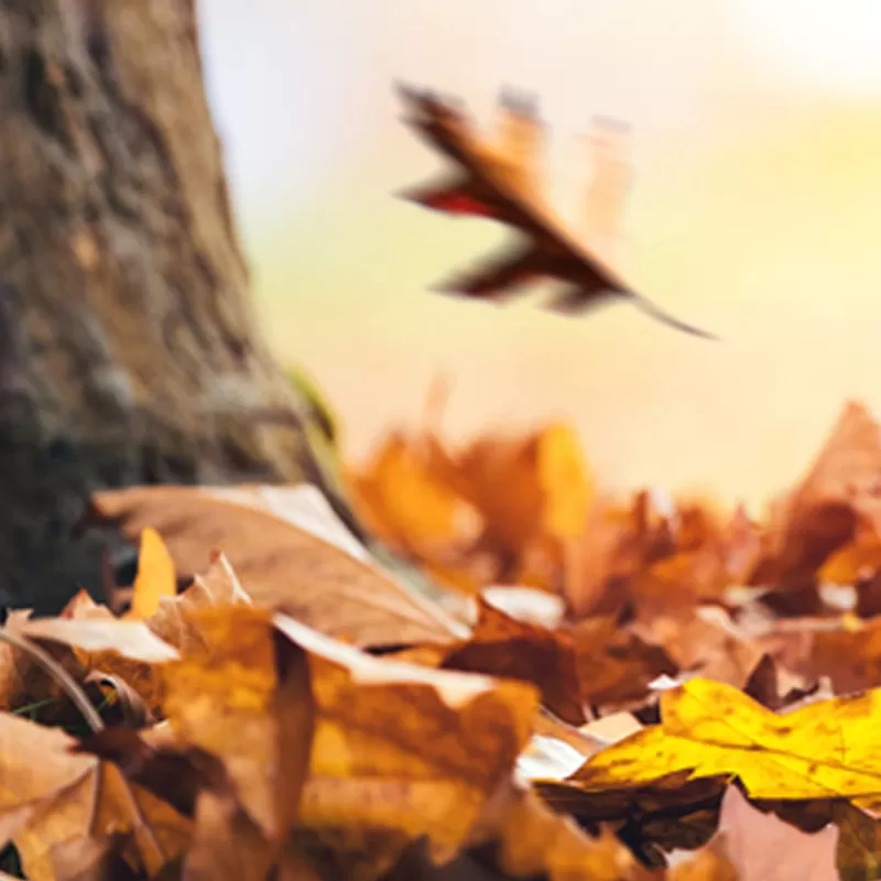 Choose the right winter fragrance and change your mood this winter